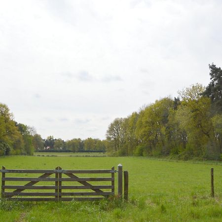 Lovely Holiday Home In Limburg Amid Lush Forest Stramproy Ngoại thất bức ảnh