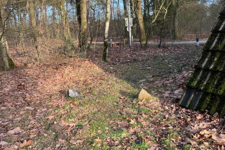 Lovely Holiday Home In Limburg Amid Lush Forest Stramproy Ngoại thất bức ảnh