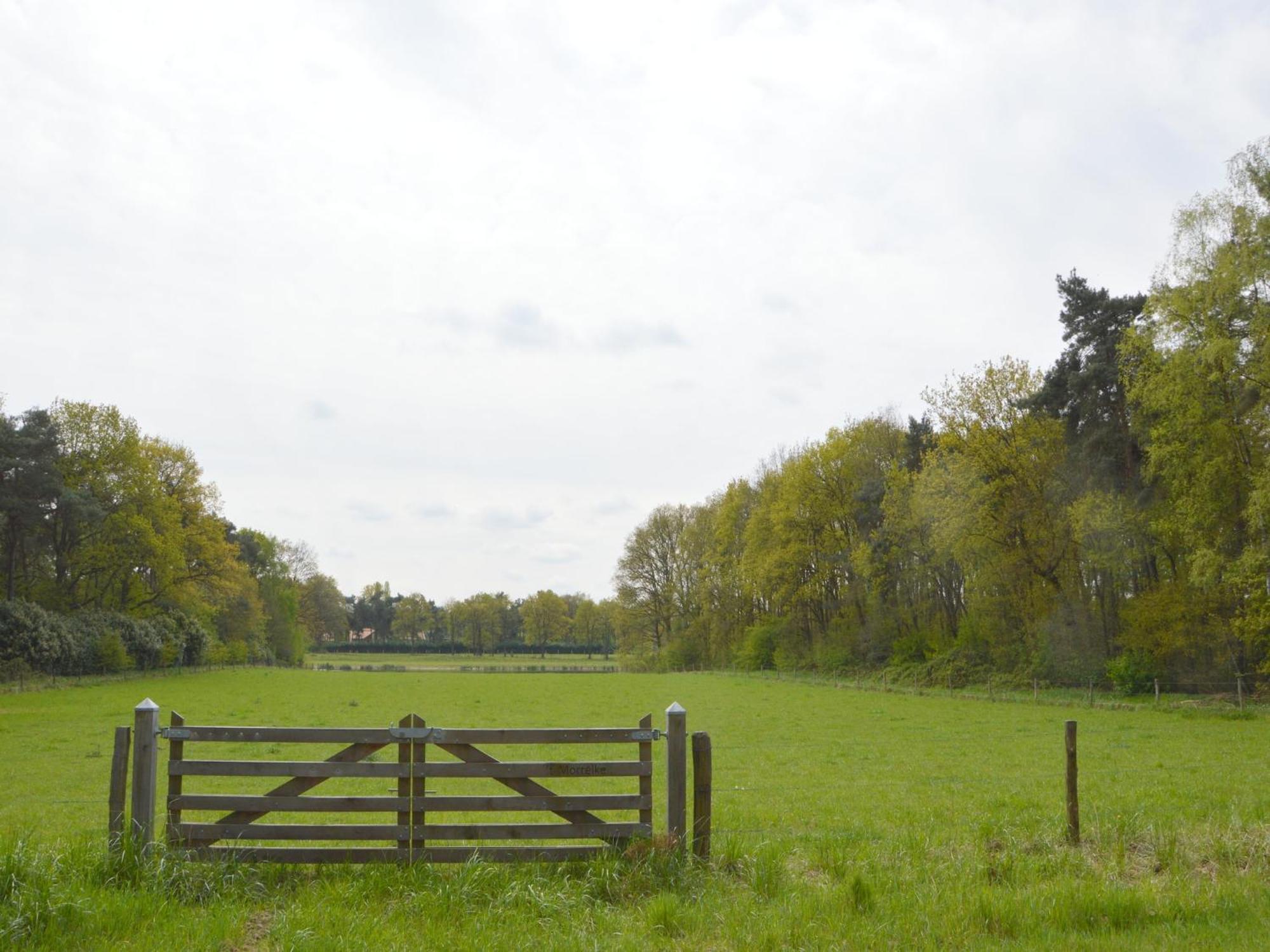 Lovely Holiday Home In Limburg Amid Lush Forest Stramproy Ngoại thất bức ảnh